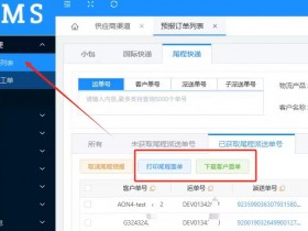 亲身经历说说:国际尾程账号打单系统软件有哪些?哪家好?